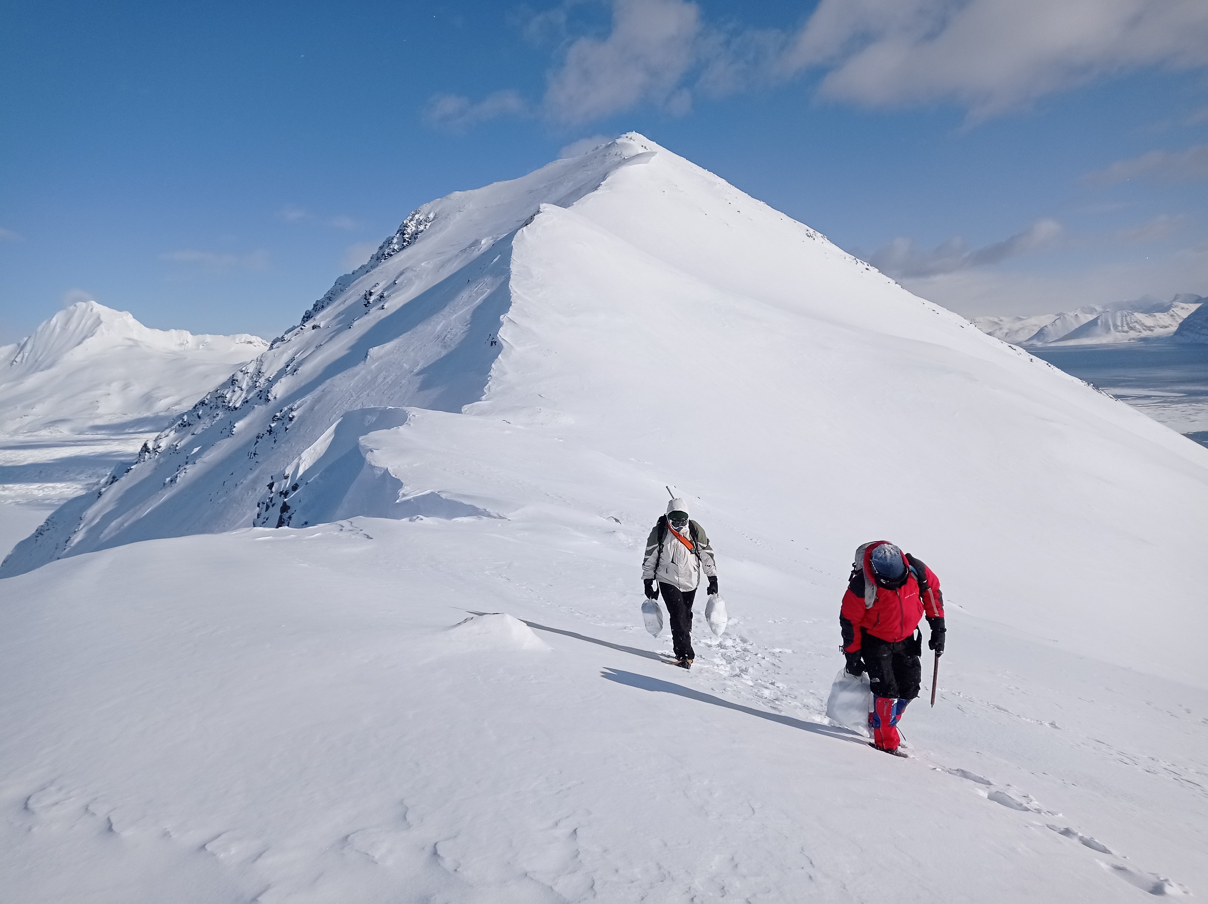 Two people walking on a snowy mountain carrying bags of snow