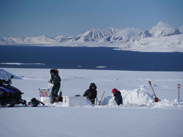 "Three scientists digging snow pits to collect samples."